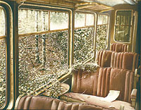 Vegetarischer Salonwagen